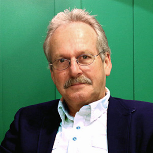 Kees van Waaijen, wethouder tot 2022
